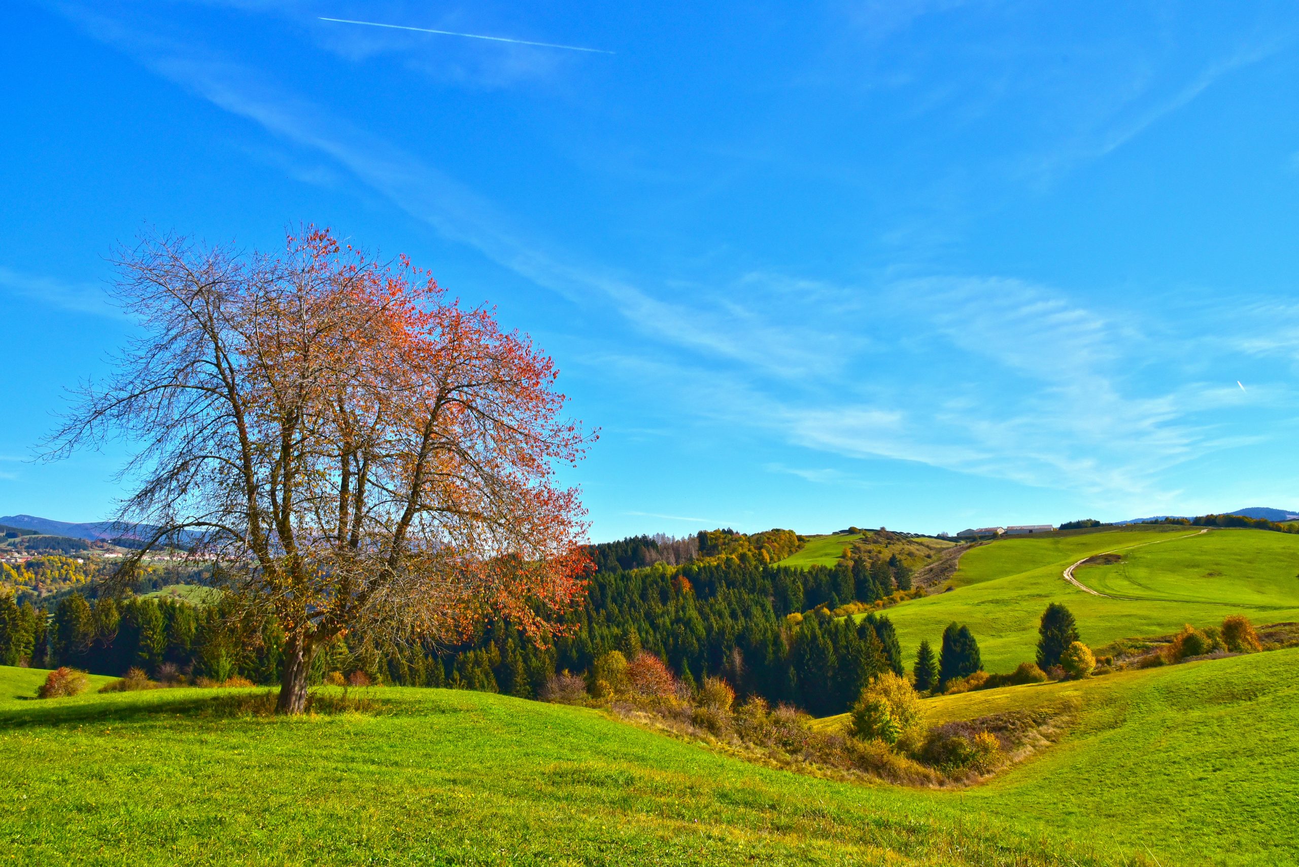 paesaggi_natura_asiago